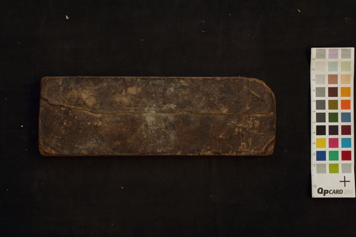 Guhyeśvarī mantra Dhāraṇī manuscript preview