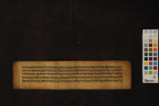 Unknown Fragments manuscript preview