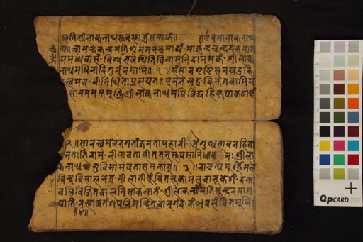 Stotra Saṃgraha manuscript preview