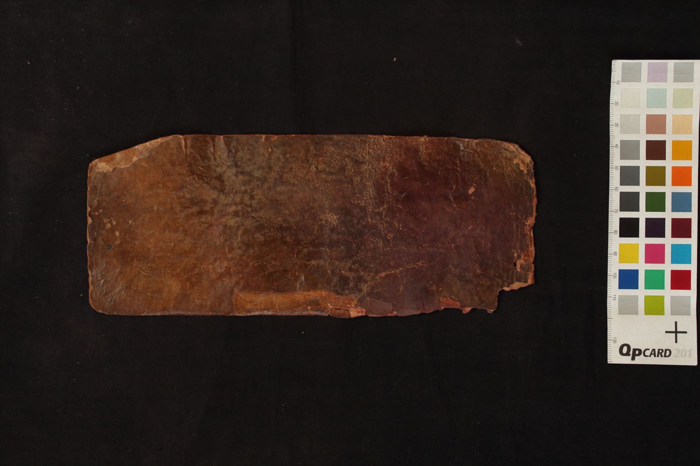 Aryāsarvatathāgatoṣṇīṣśitāntapatrānāmāparājitāmahāpratyaṁgīrānāma Dhāraṇī manuscript preview