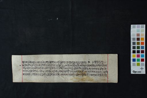 Mahāmāyūrīvidyārājñī manuscript preview
