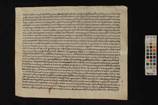 Kāmakalā prayoga manuscript preview