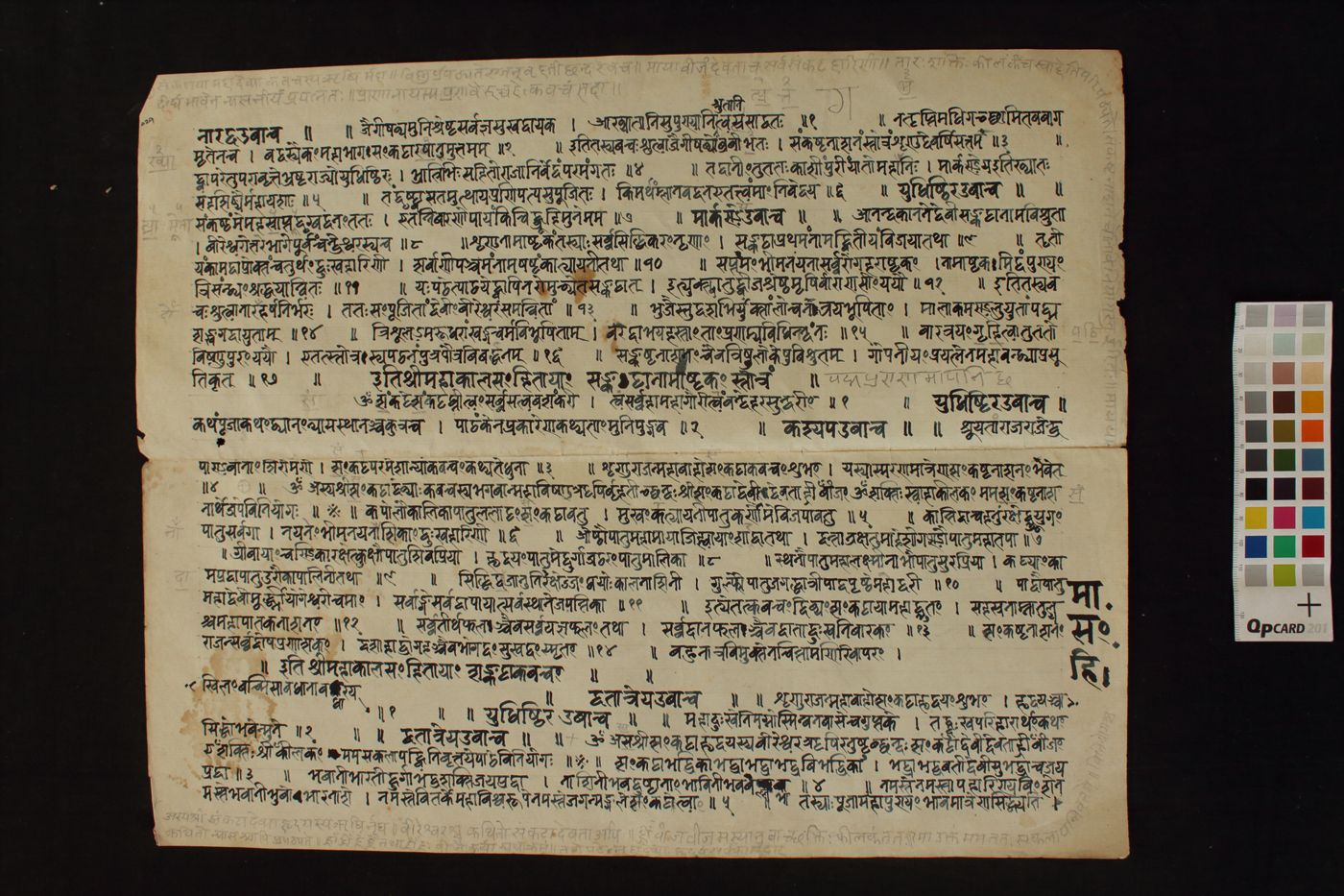 Composite manuscript manuscript preview