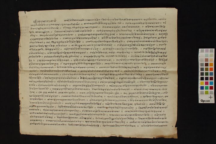 Sāmāṇya prayoga and Homa vidhi prayoga manuscript preview