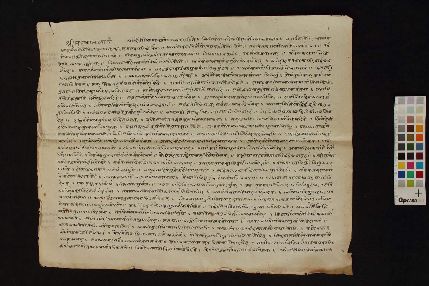 Sāmāṇya prayoga and Homa vidhi prayoga manuscript preview