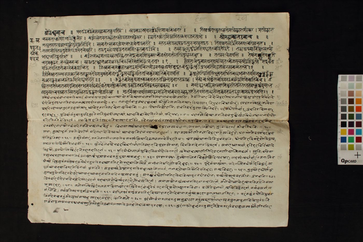 Dakṣinā Kalya Stotra manuscript preview