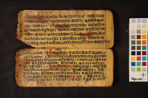 Deva Vajra Vajracarya Collection representative manuscript
