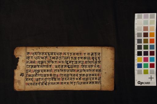Siṃhaśārthavāha Kathā manuscript preview