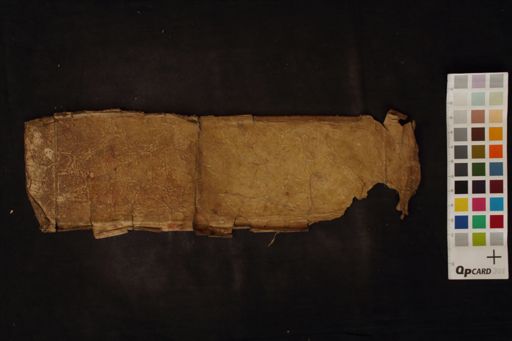 Composite Dhāraṇī Stotra Text manuscript preview