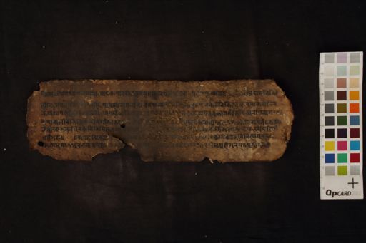 Unknown Medical Fragment manuscript preview