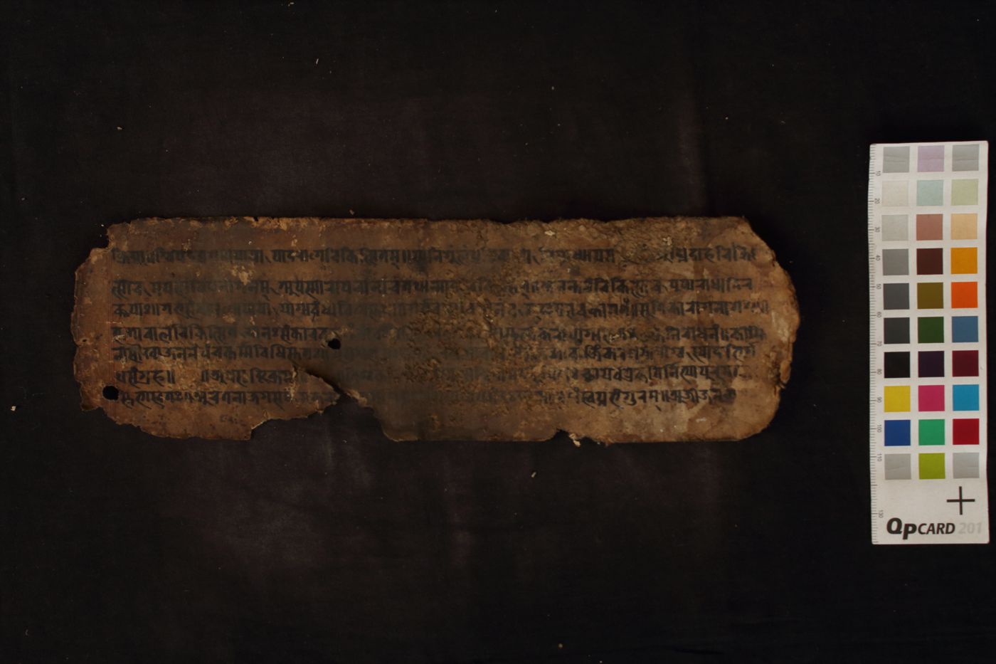 Unknown Medical Fragment manuscript preview