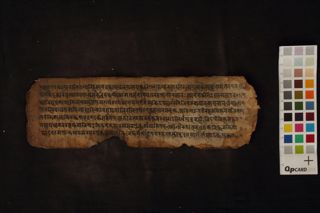 Unknown Medical Fragment folio 3