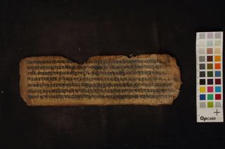 Unknown Medical Fragment folio 4