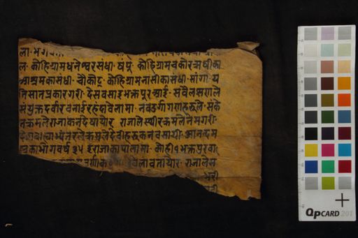 Fragment of Malla Vaṃśāvali manuscript preview
