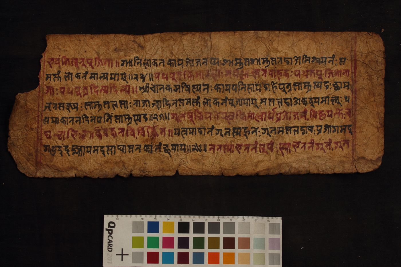 Chanakya Sara Samgraha manuscript preview