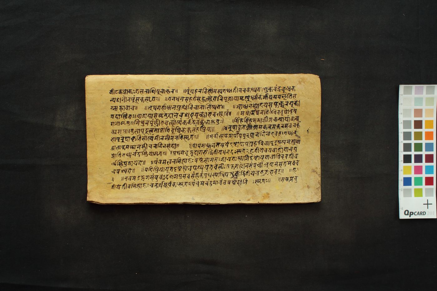 Daśācintāmaṇi manuscript preview