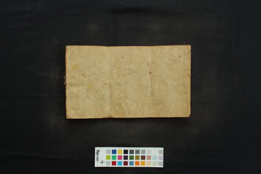 Praśnaśāstra manuscript preview
