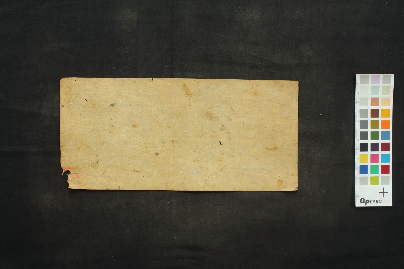 Ṣaṭapañcāśikā manuscript preview