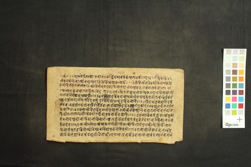 Śivayāmala (Daśāphala)/ Yoginīdaśāntardaśāphala manuscript preview
