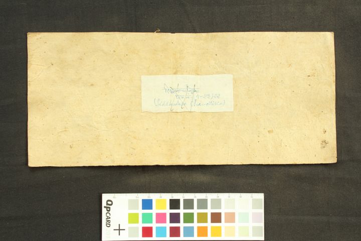 Siddhāntacandrikā Bhvādi Dhātu/ uttarārdha manuscript preview