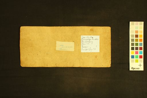 Cāṇakyaniti manuscript preview