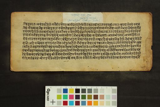 Pāraskara Gṛhyasūtra Vyākhyāna manuscript preview