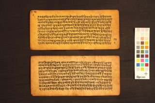 Ekoddiṣṭa Śrāddha Vidhi folio 3