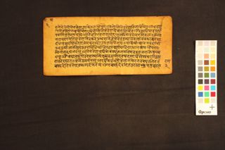 Ekoddiṣṭa Śrāddha Vidhi folio 4