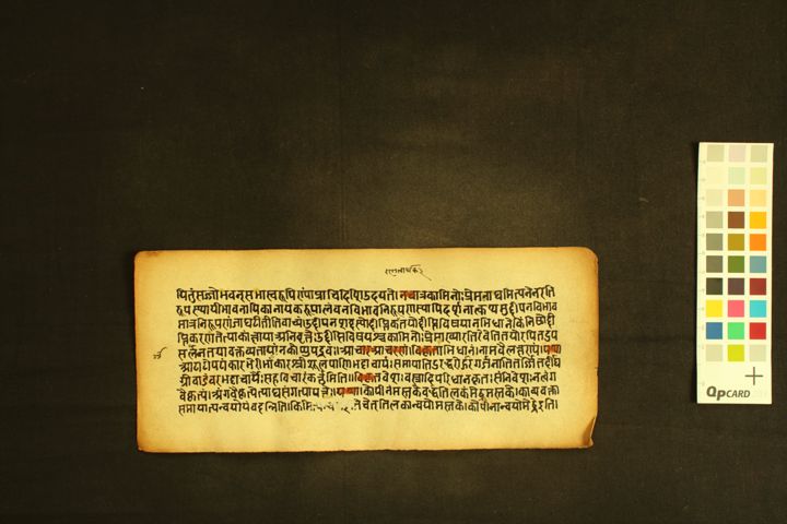 Rasika-rañjanī manuscript preview
