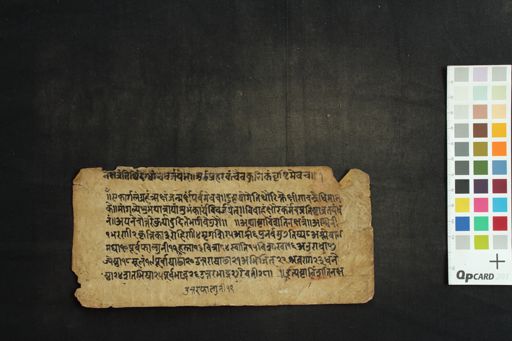 Dvādaśarāśiphala manuscript preview