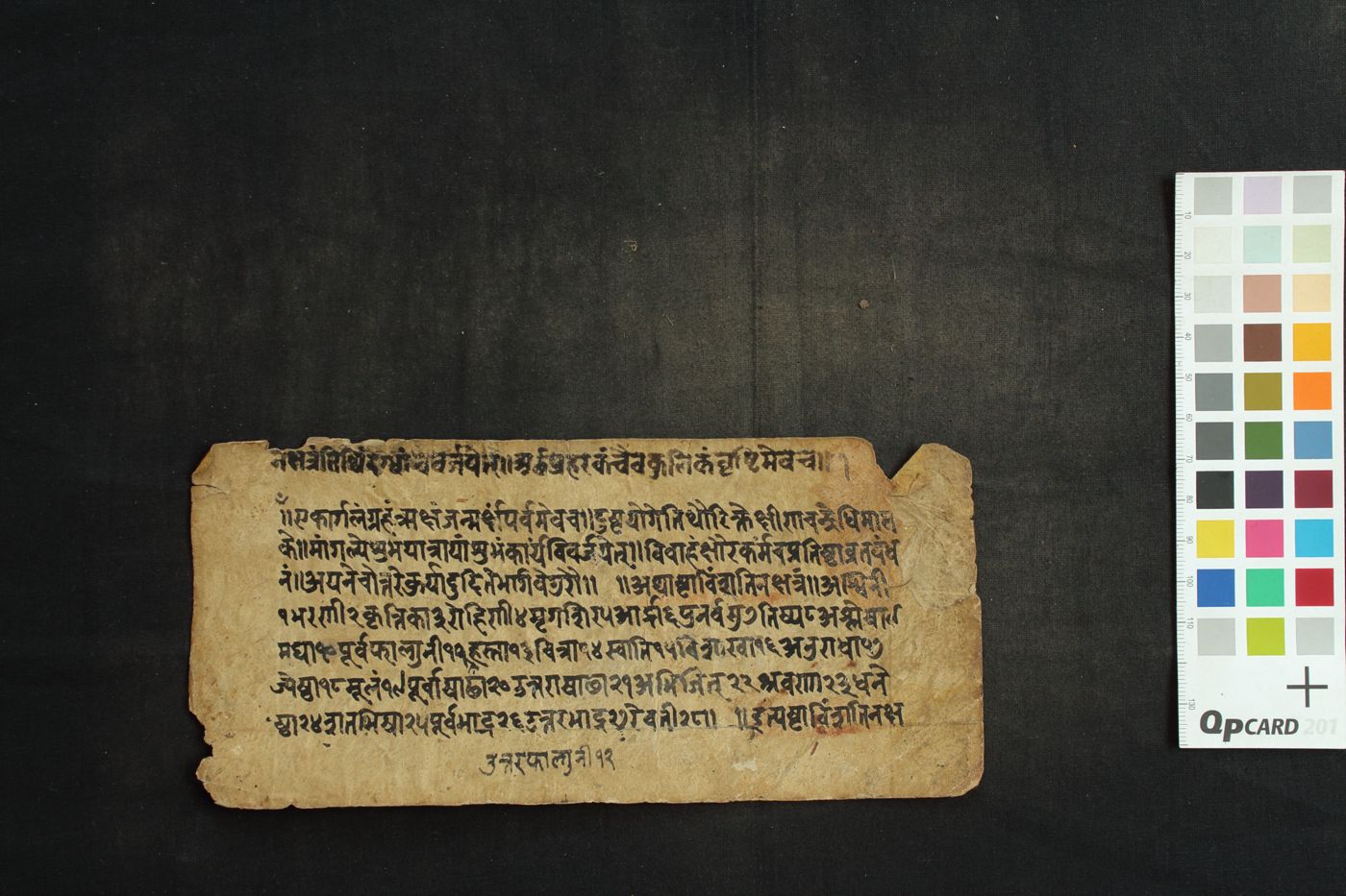 Dvādaśarāśiphala manuscript preview