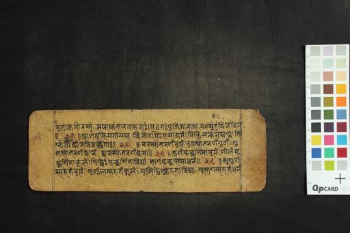 Branch of Subhāṣita manuscript preview