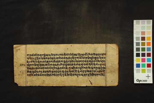 Fragment of Kṣemakūtūhalam manuscript preview