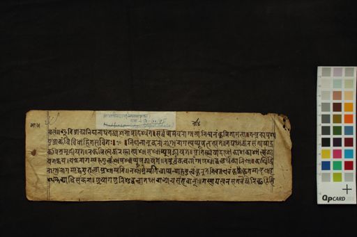 Mādhava Nidāna manuscript preview