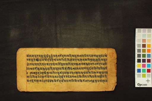 Devī Māhātmya manuscript preview