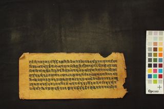 Devī Māhātmya folio 3