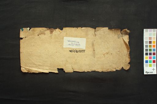 Cikitsāsāra manuscript preview