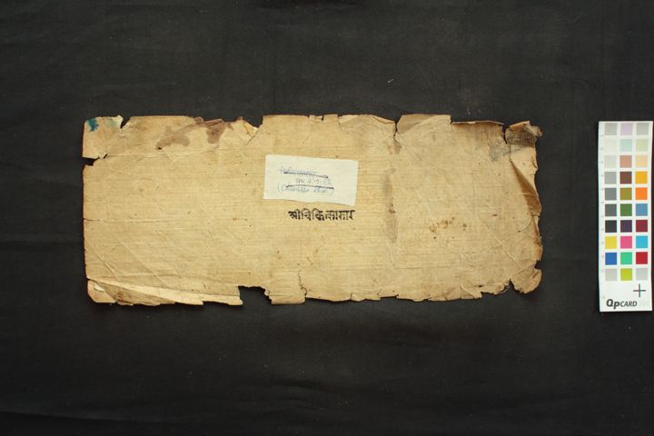 Cikitsāsāra manuscript preview