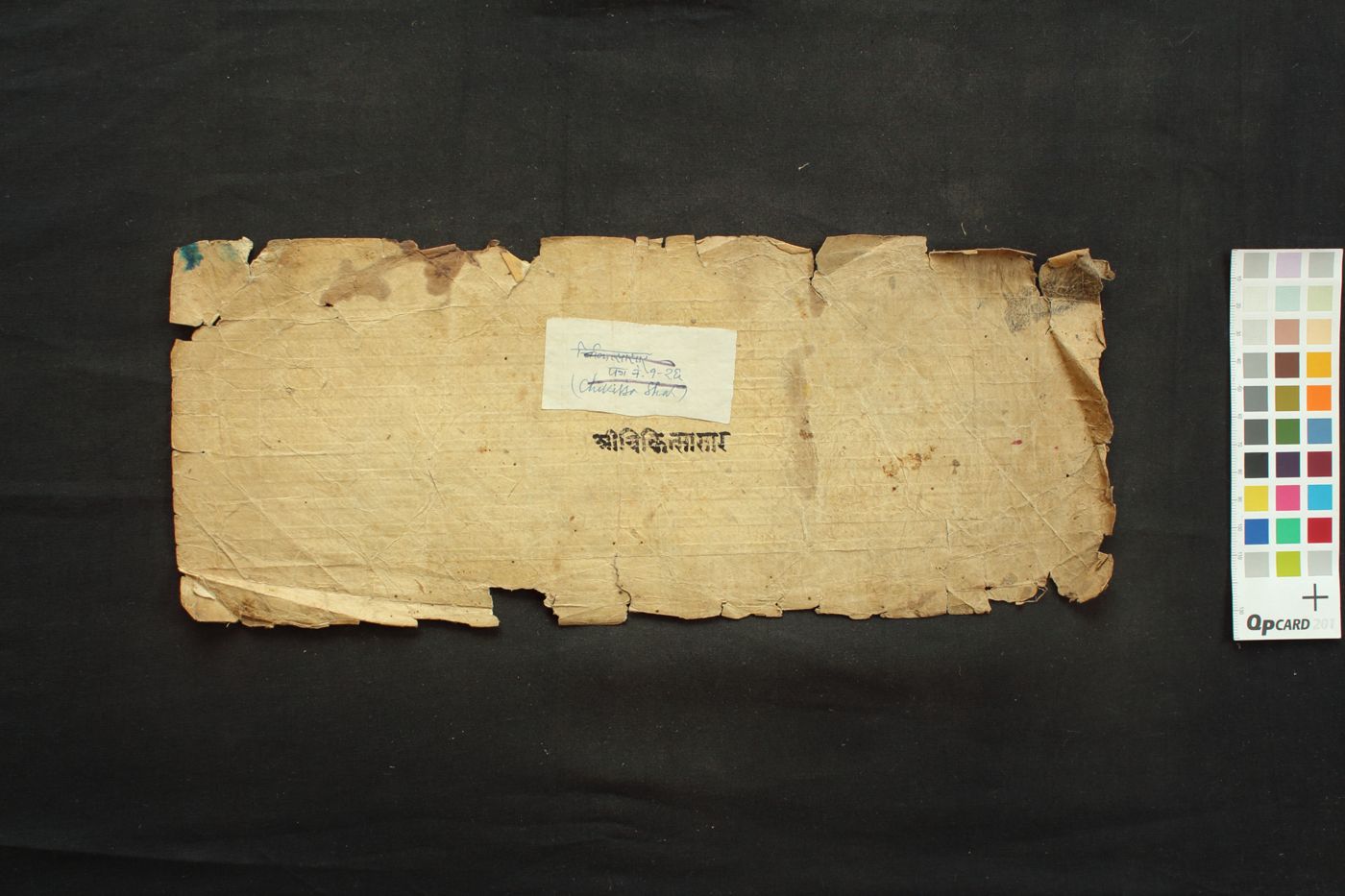 Cikitsāsāra manuscript preview