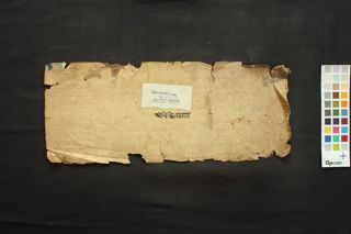 Cikitsāsāra folio 1
