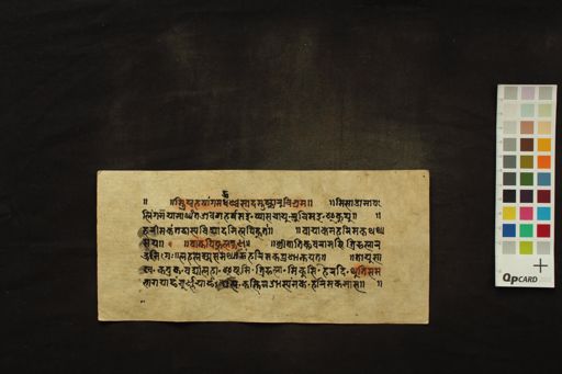 Mādhava Nidāna fragment manuscript preview