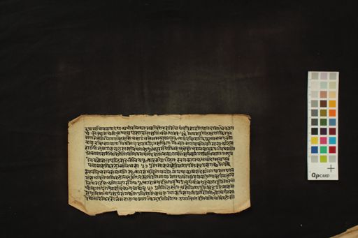 Naiṣadhīyacaritam manuscript preview