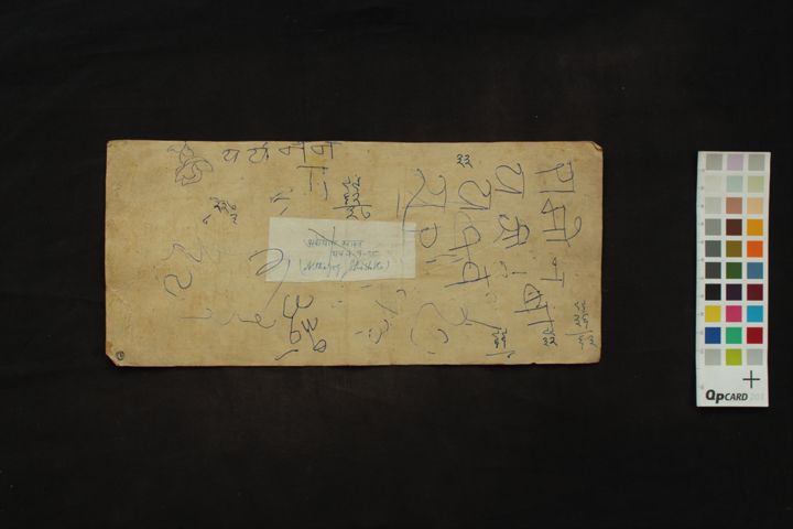 Amanaska Yogaśāstra manuscript preview