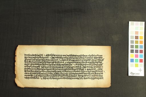 Untitled Jyotiṣa Text manuscript preview