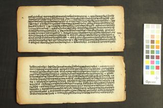 Untitled Jyotiṣa Text folio 4