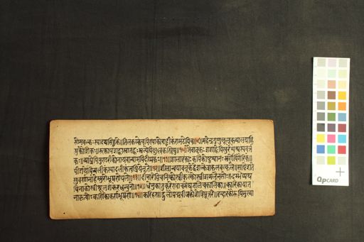 Amarakoṣa manuscript preview