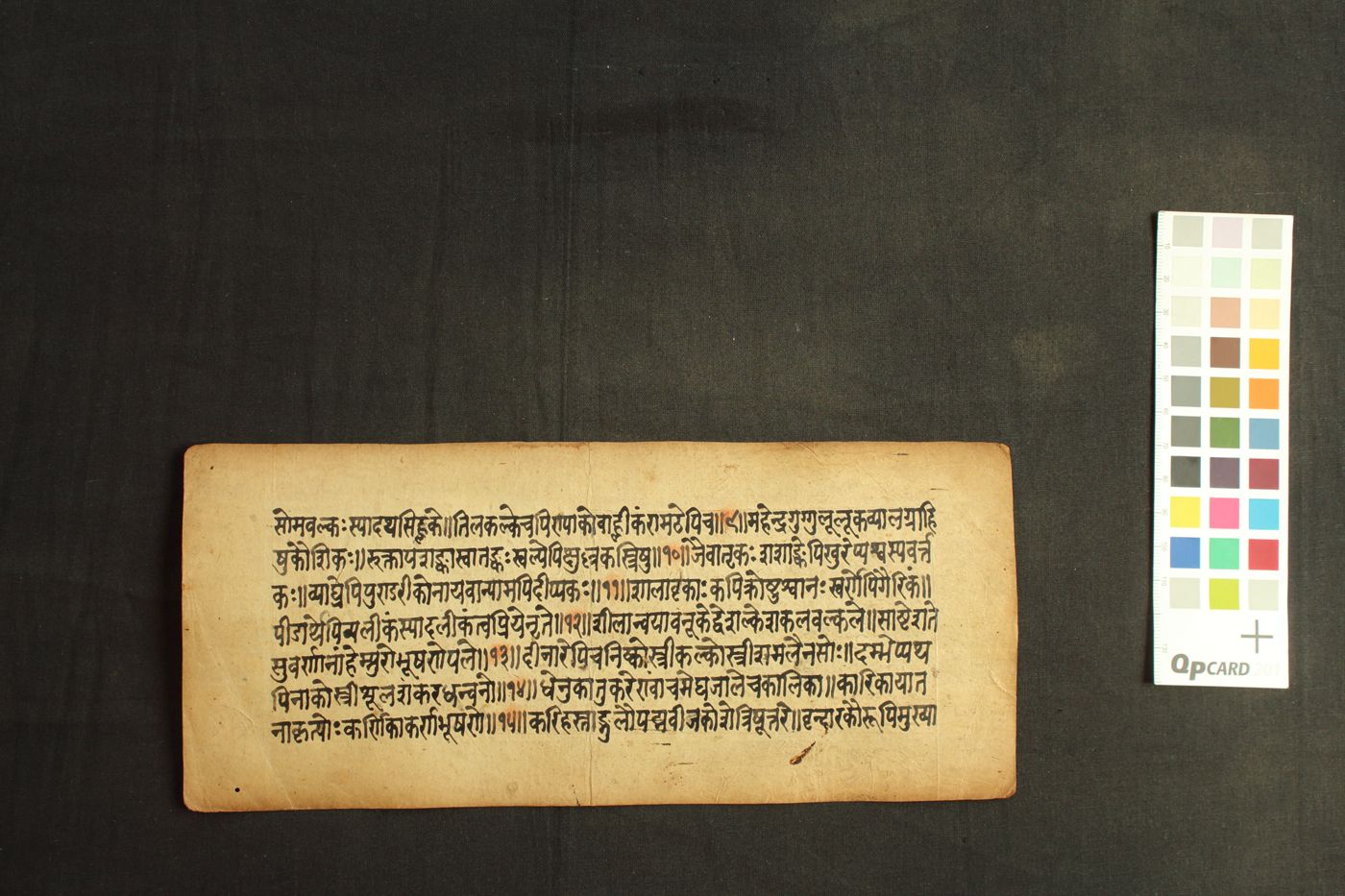 Amarakoṣa manuscript preview