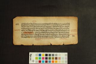 Amarakoṣa folio 1
