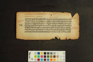 Amarakoṣa folio 4