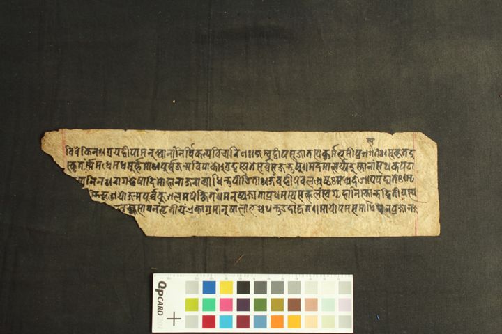 Saṃvarodayatantra manuscript preview